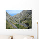 Serpentine Wall Decal