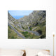 Serpentine Wall Decal