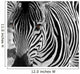Zebra Wall Decal Design 2