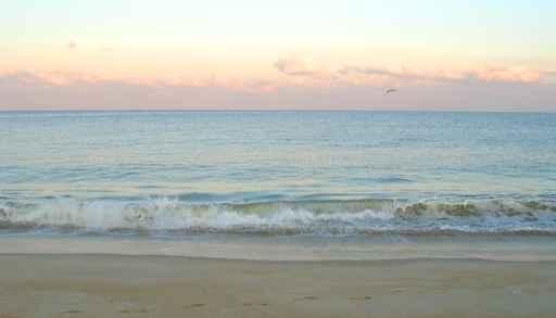 Beach Wall Decal Design 1