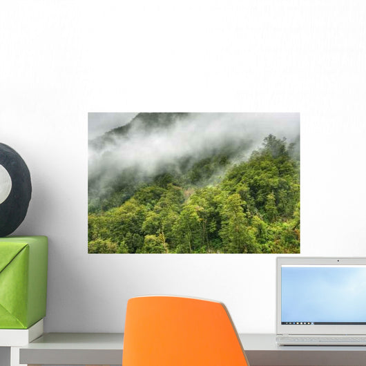 Rainforest Landscape Wall Decal Design 2