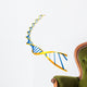 DNA Modell Wall Decal