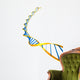 DNA Modell Wall Decal