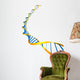 DNA Modell Wall Decal