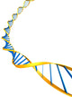 DNA Modell Wall Decal