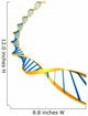 DNA Modell Wall Decal