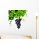 Grapevine with Blue Grape Wall Decal