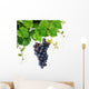 Grapevine with Blue Grape Wall Decal