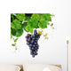 Grapevine with Blue Grape Wall Decal