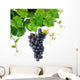 Grapevine with Blue Grape Wall Decal