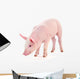 Pig White Wall Decal