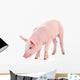 Pig White Wall Decal