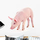 Pig White Wall Decal