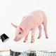 Pig White Wall Decal