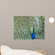 Blue Peacock Wall Decal