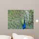 Blue Peacock Wall Decal