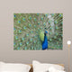 Blue Peacock Wall Decal