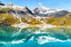 Glacier Bay National Park Wall Decal