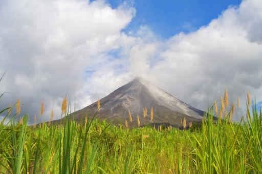 Arenal 01 Wall Decal