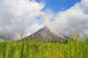 Arenal 01 Wall Decal