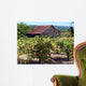 Old Barn and Vineyard Wall Decal