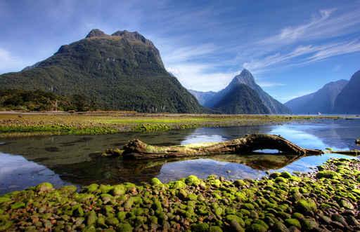 Milford Sound Wall Decal Design 2