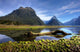 Milford Sound Wall Decal Design 2
