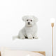Bichon Maltese Dog Wall Decal