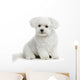 Bichon Maltese Dog Wall Decal
