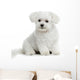 Bichon Maltese Dog Wall Decal