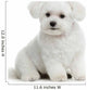 Bichon Maltese Dog Wall Decal