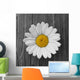 Daisies Flower Wood Wall Decal