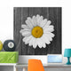 Daisies Flower Wood Wall Decal
