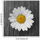 Daisies Flower Wood Wall Decal