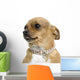 Chihuahua Wall Decal