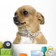 Chihuahua Wall Decal
