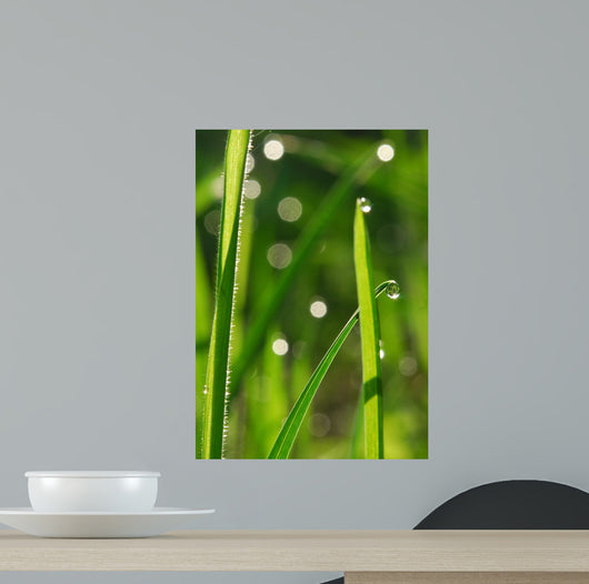 Plant Wall Decal