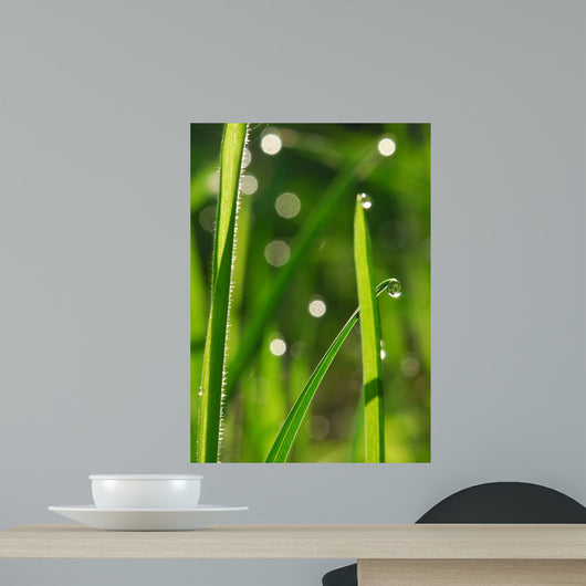 Plant Wall Decal