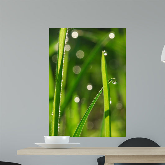 Plant Wall Decal