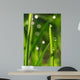 Plant Wall Decal