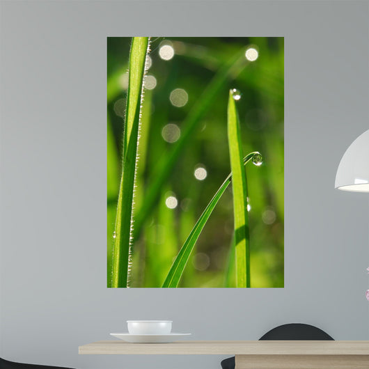 Plant Wall Decal