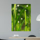 Plant Wall Decal