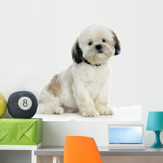 Shi-tzu Wall Decal