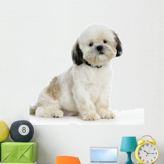 Shi-tzu Wall Decal