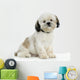 Shi-tzu Wall Decal