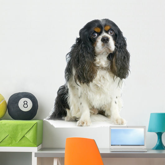 Cavalier King Charles Spaniels Wall Decal