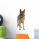 German Shepard Wall Decal
