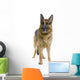 German Shepard Wall Decal