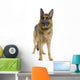 German Shepard Wall Decal