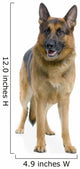German Shepard Wall Decal